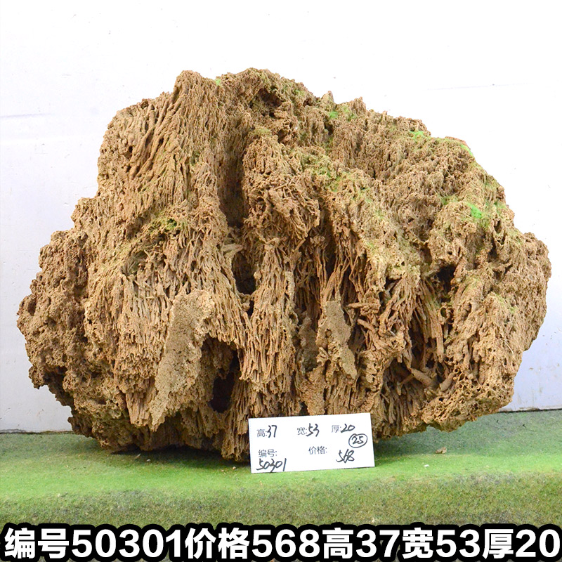 A50301