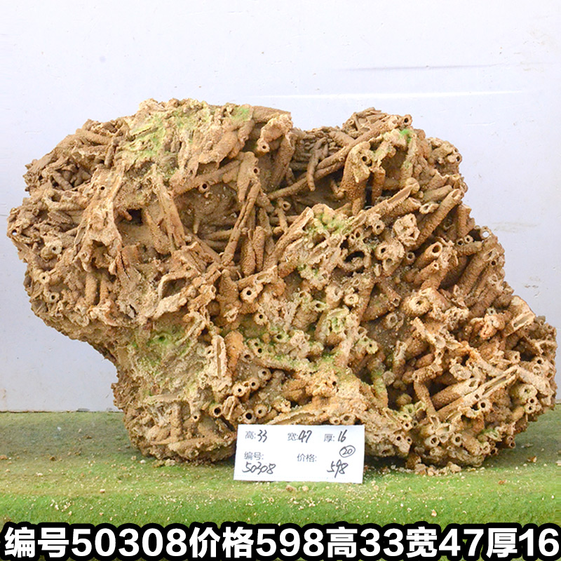 A50308