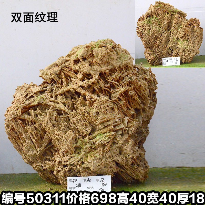 C50311