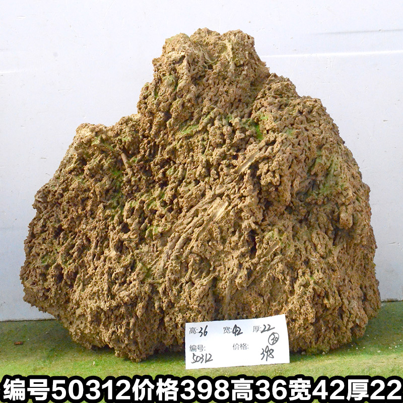 C50312