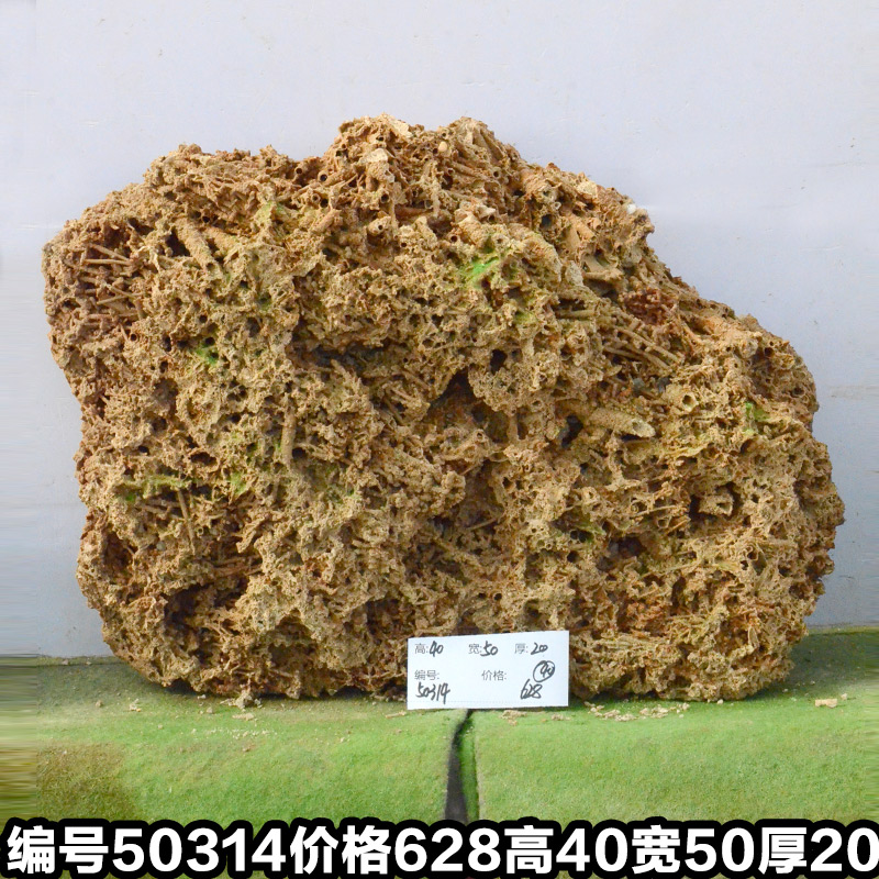C50314
