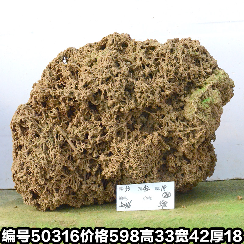 C50316