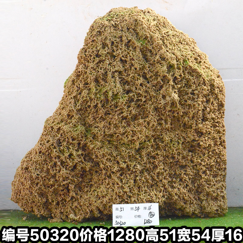 C50320