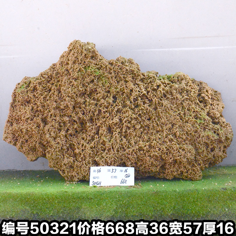 C50321
