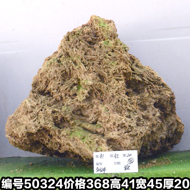 C50324