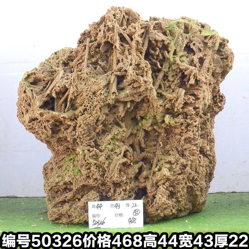 C50326