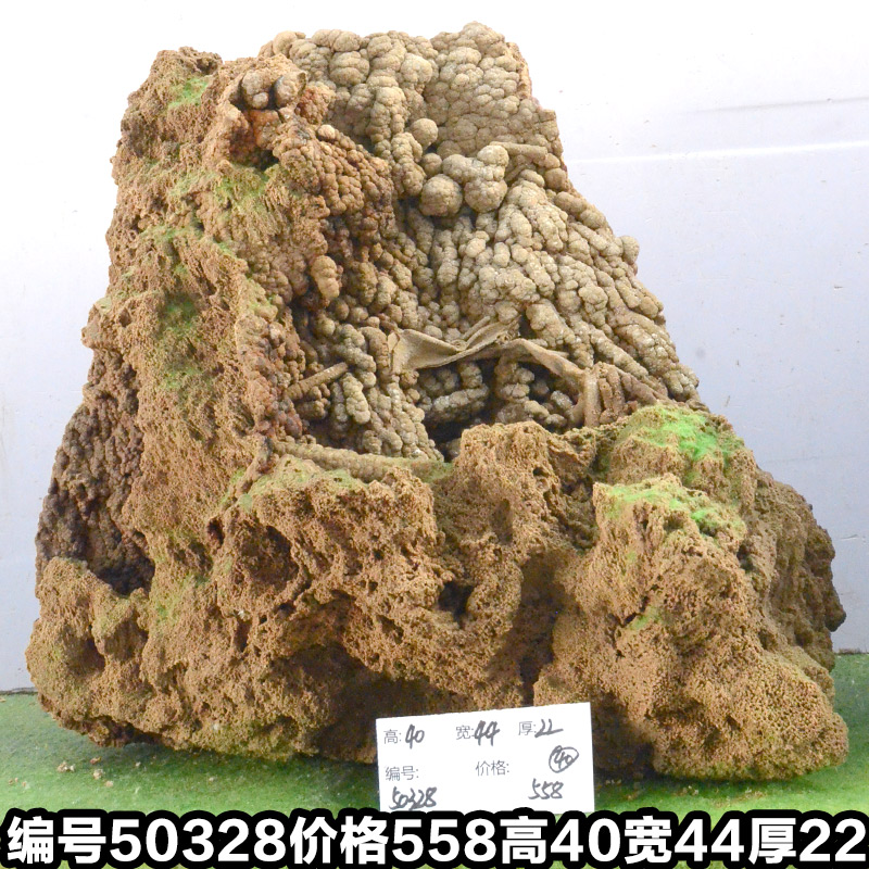 C50328