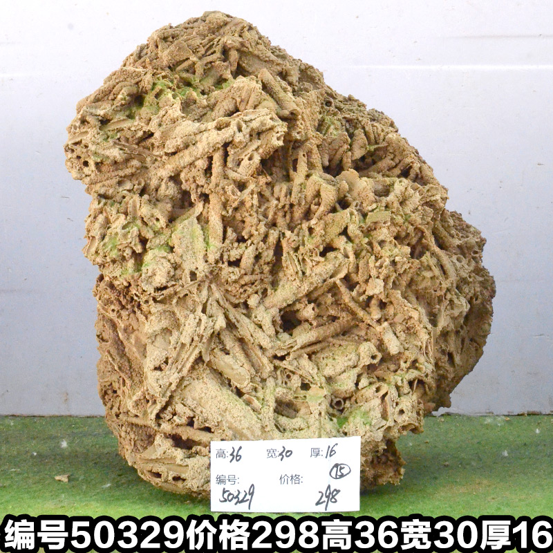 C50329