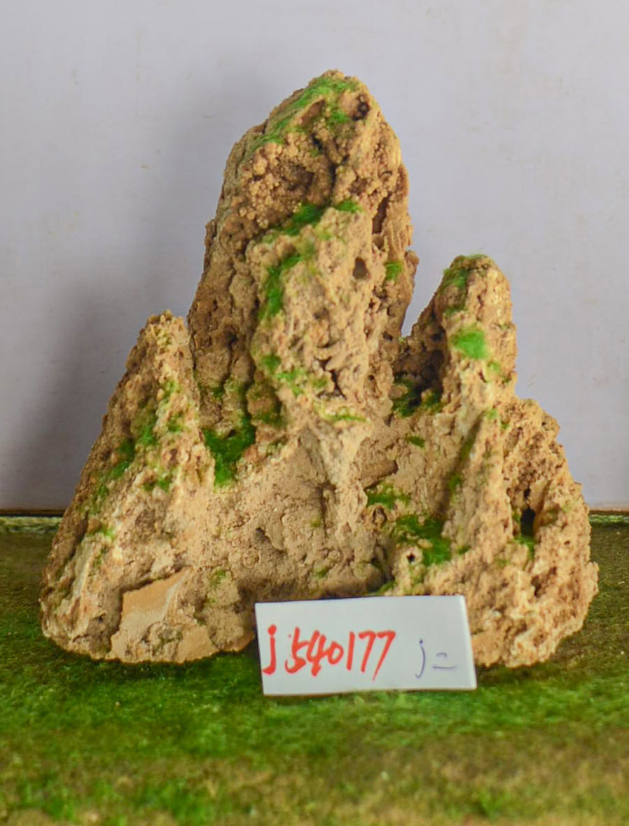 j540177