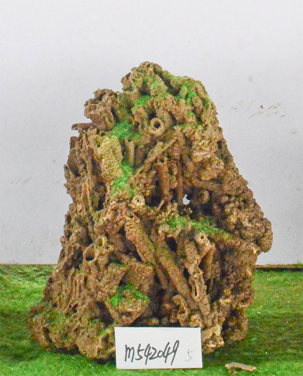m542049