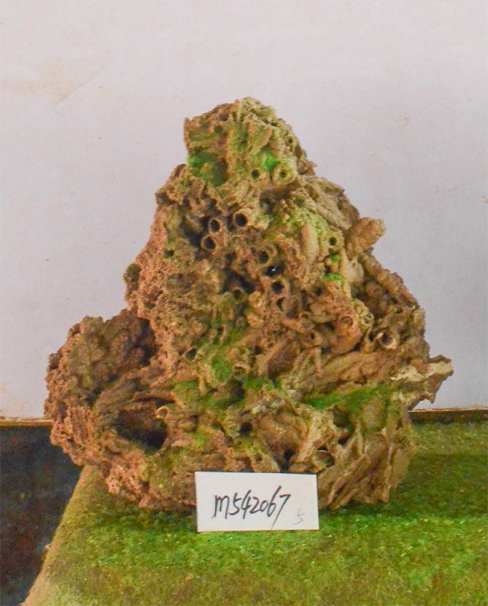 m542067